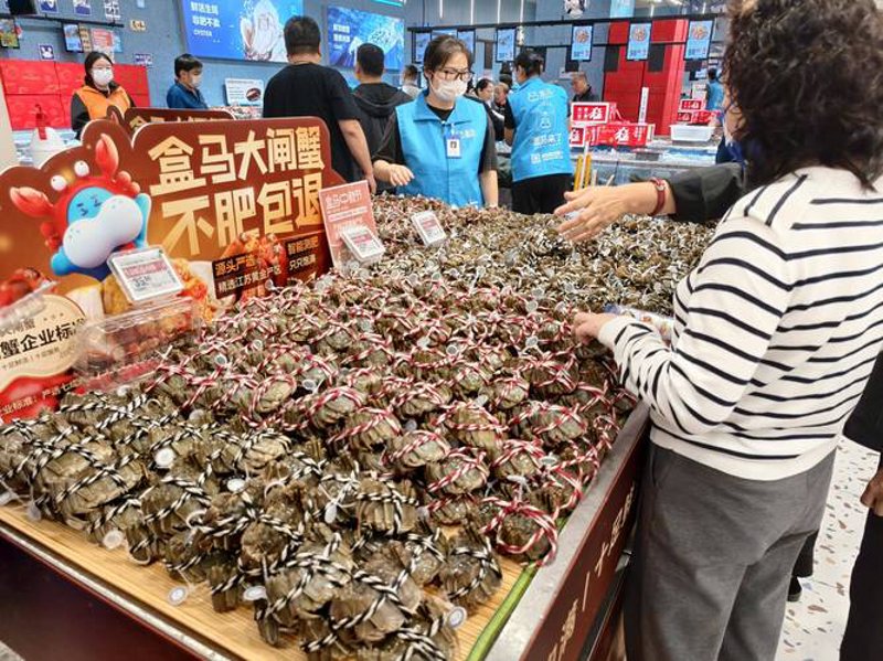 安徽商贸公司的经济画卷：市场活力与创新精神的融合